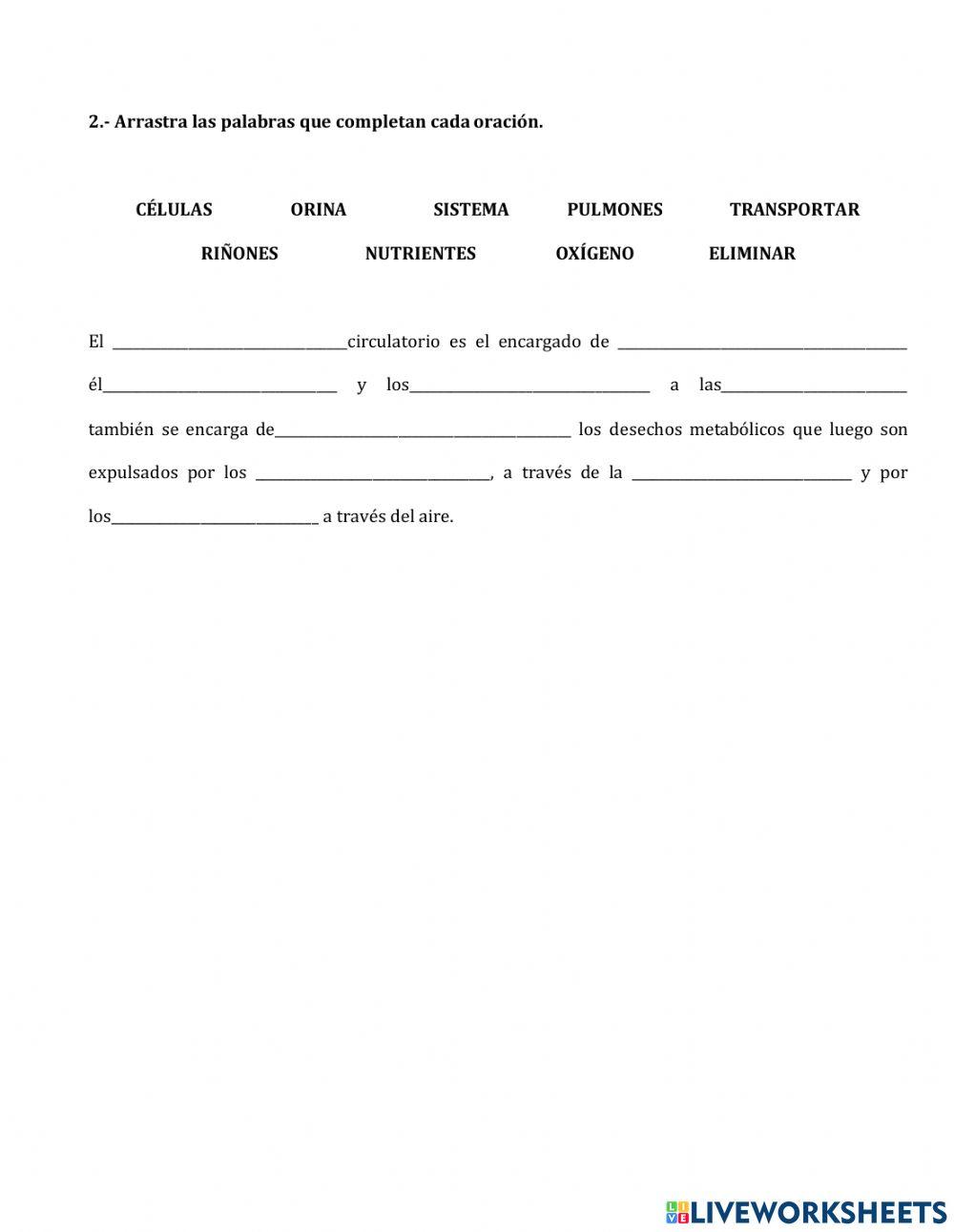 APARATO CIRCULATORIO