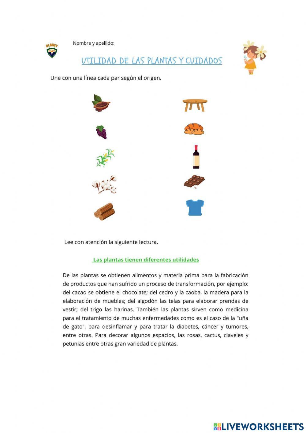 Utilidad y cuidado de las plantas