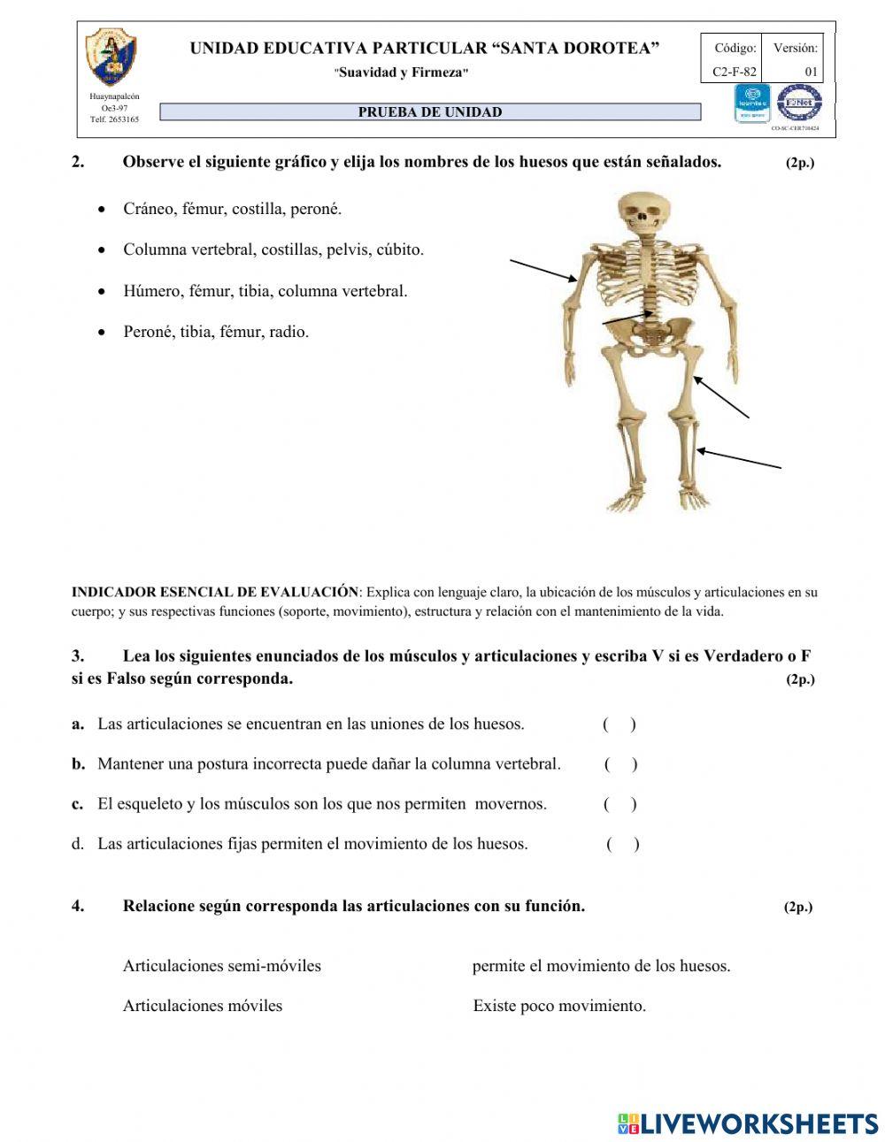 Evaluación Ciencias Naturales