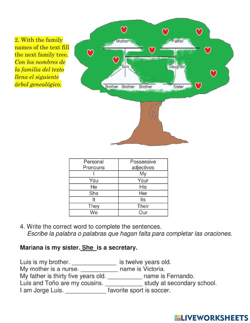 Possesive adjetives AND FAMILY TREE