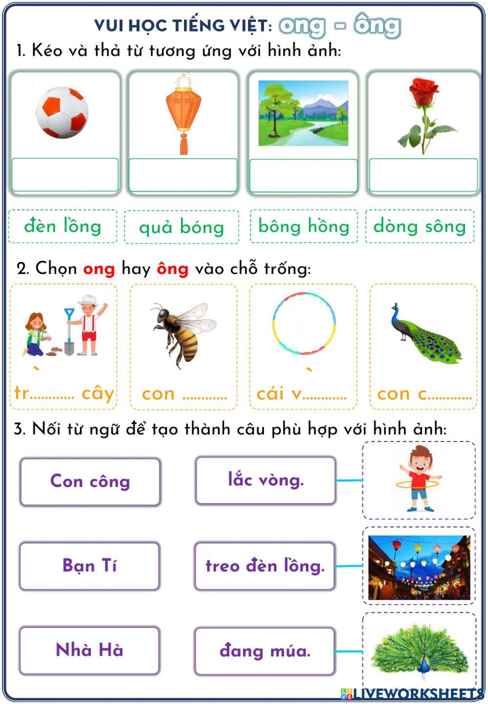 Phiếu ôn tập ong, ông