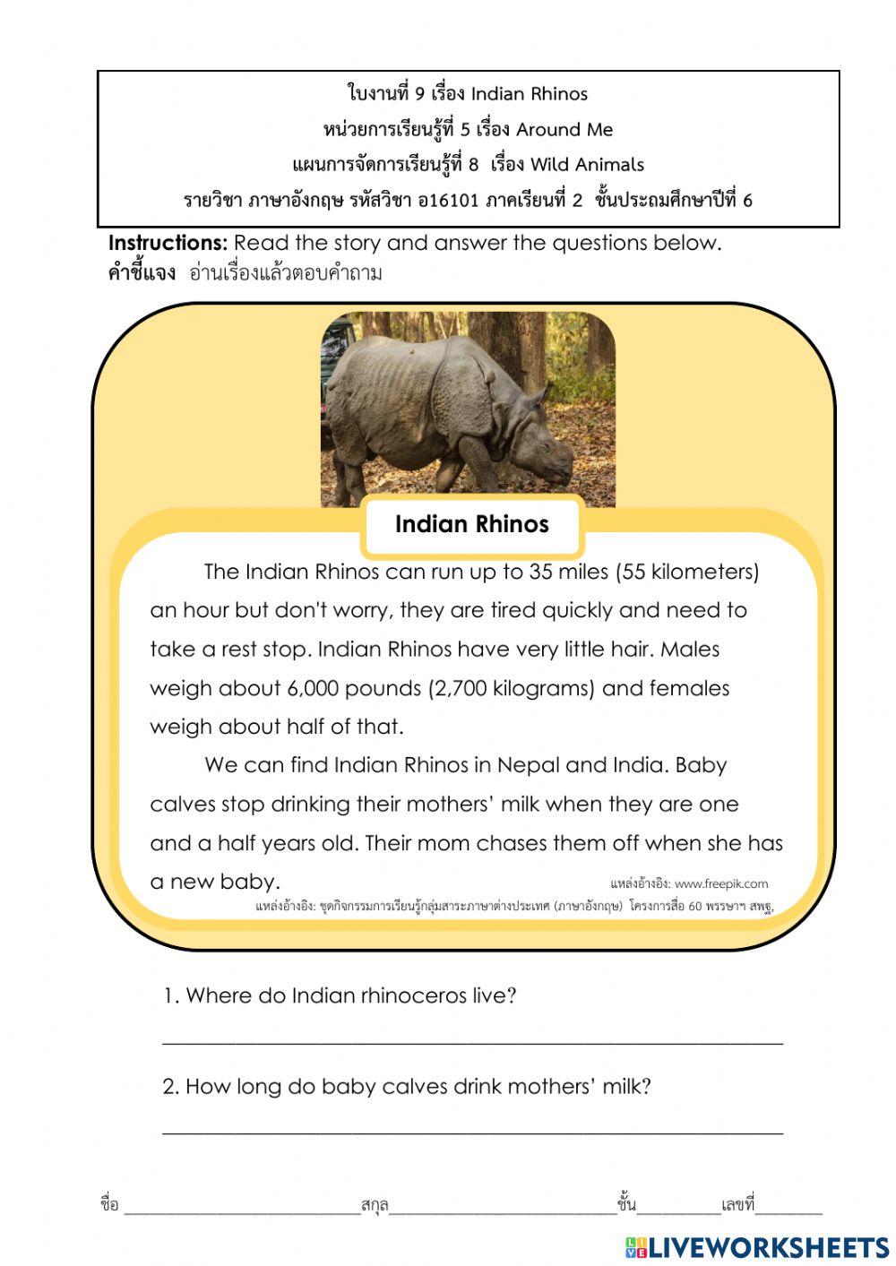 Animals Word Search :Wild Animals