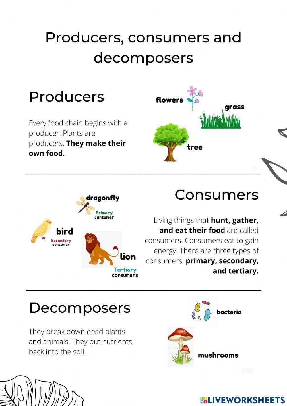 Producers, consumers and decomposers