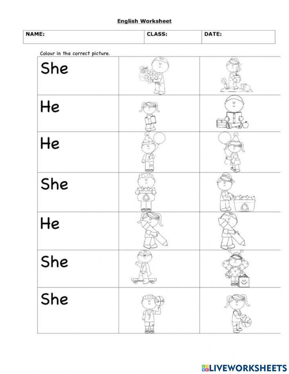 She Or He Activity Live Worksheets She Or He Activity Live Worksheets