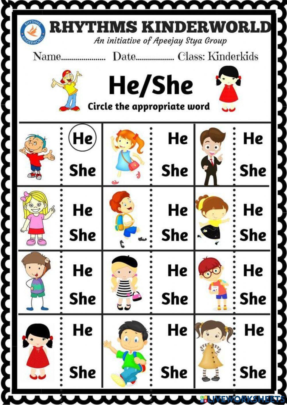He or She Activity He or She Activity