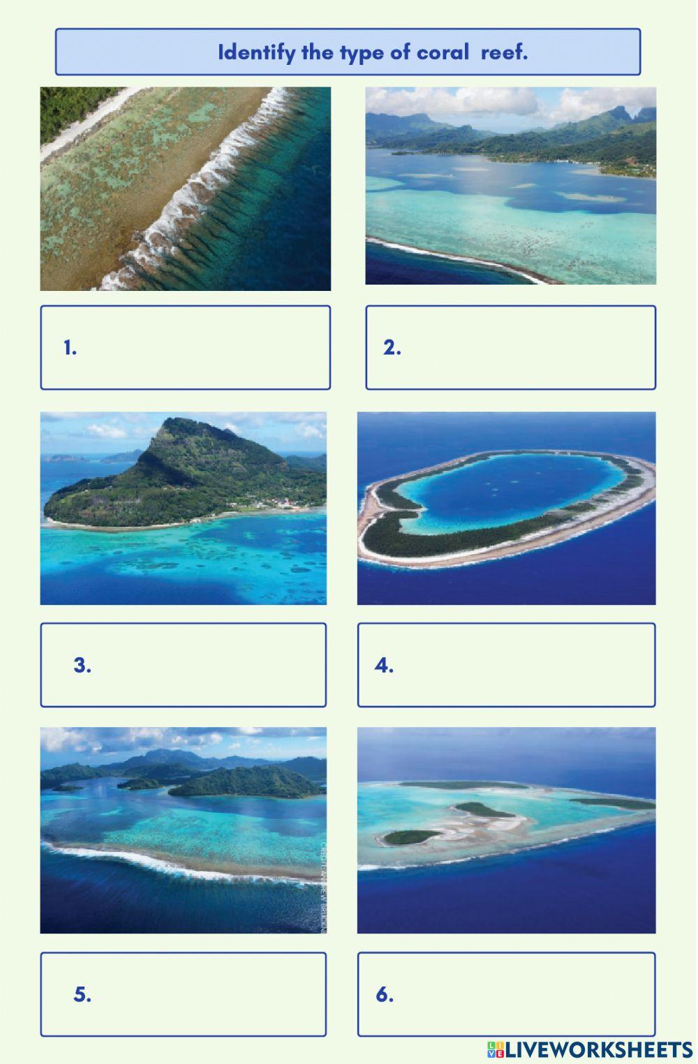 Types of Reef Types of Reef