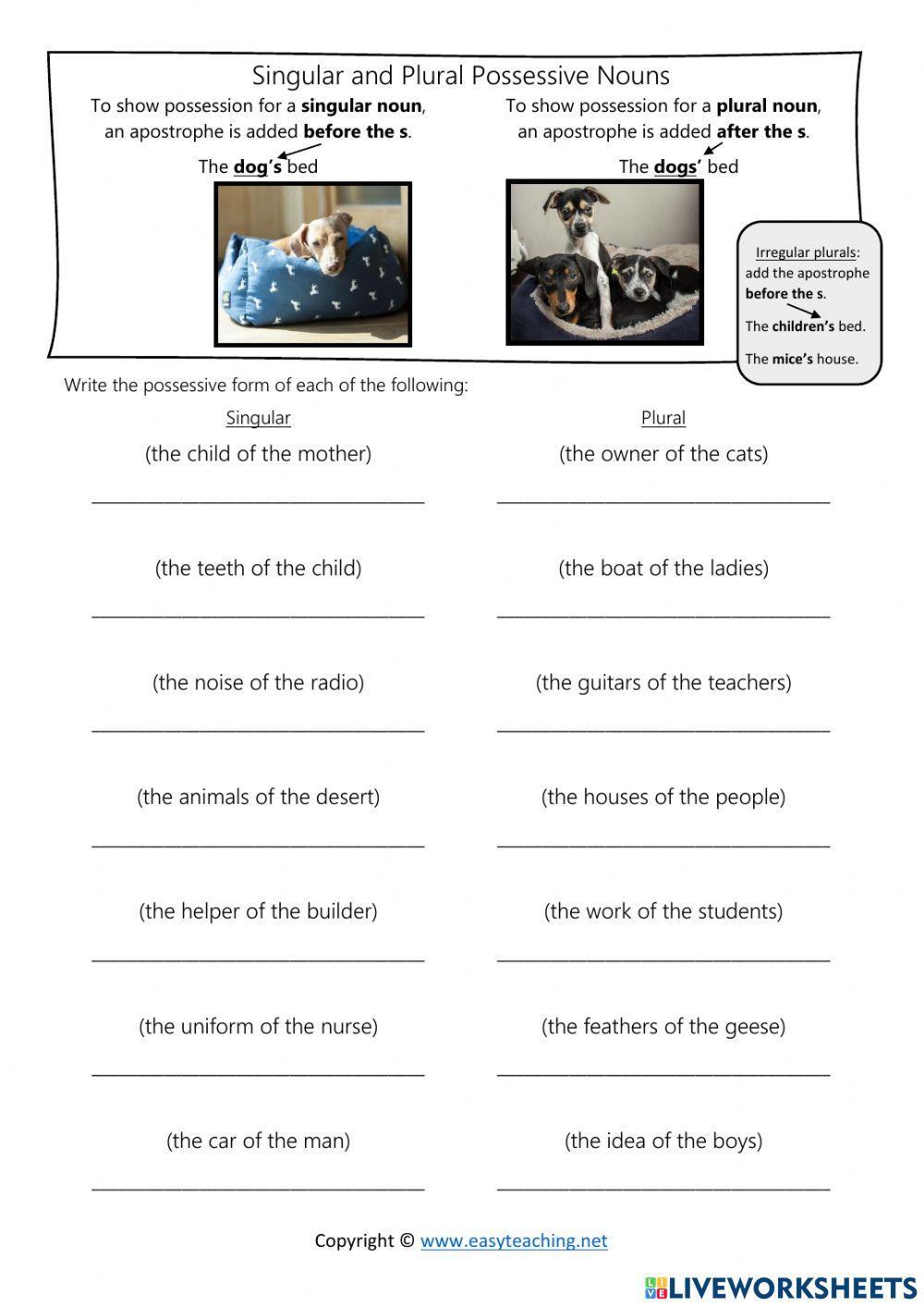 Singular and plural possessives