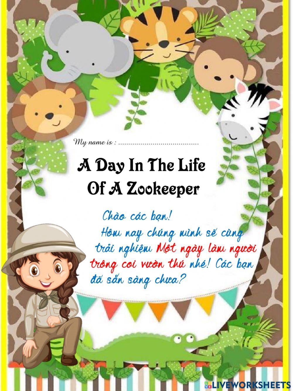 Worksheet - Revision - Word Problems