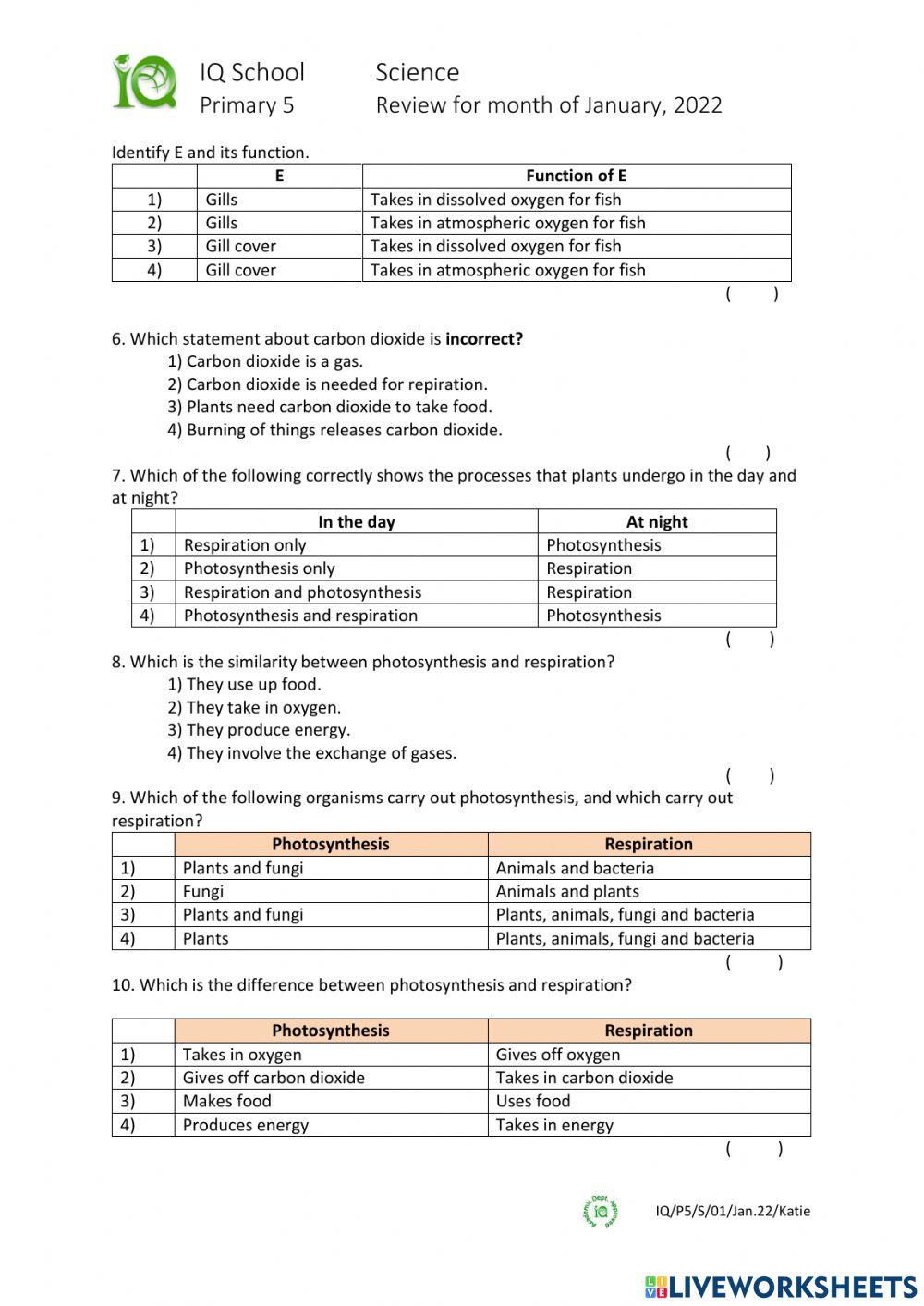 5e1 January 2022 Review