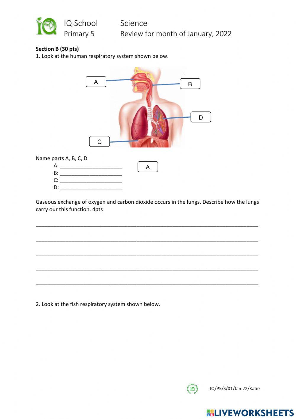 5e1 January 2022 Review