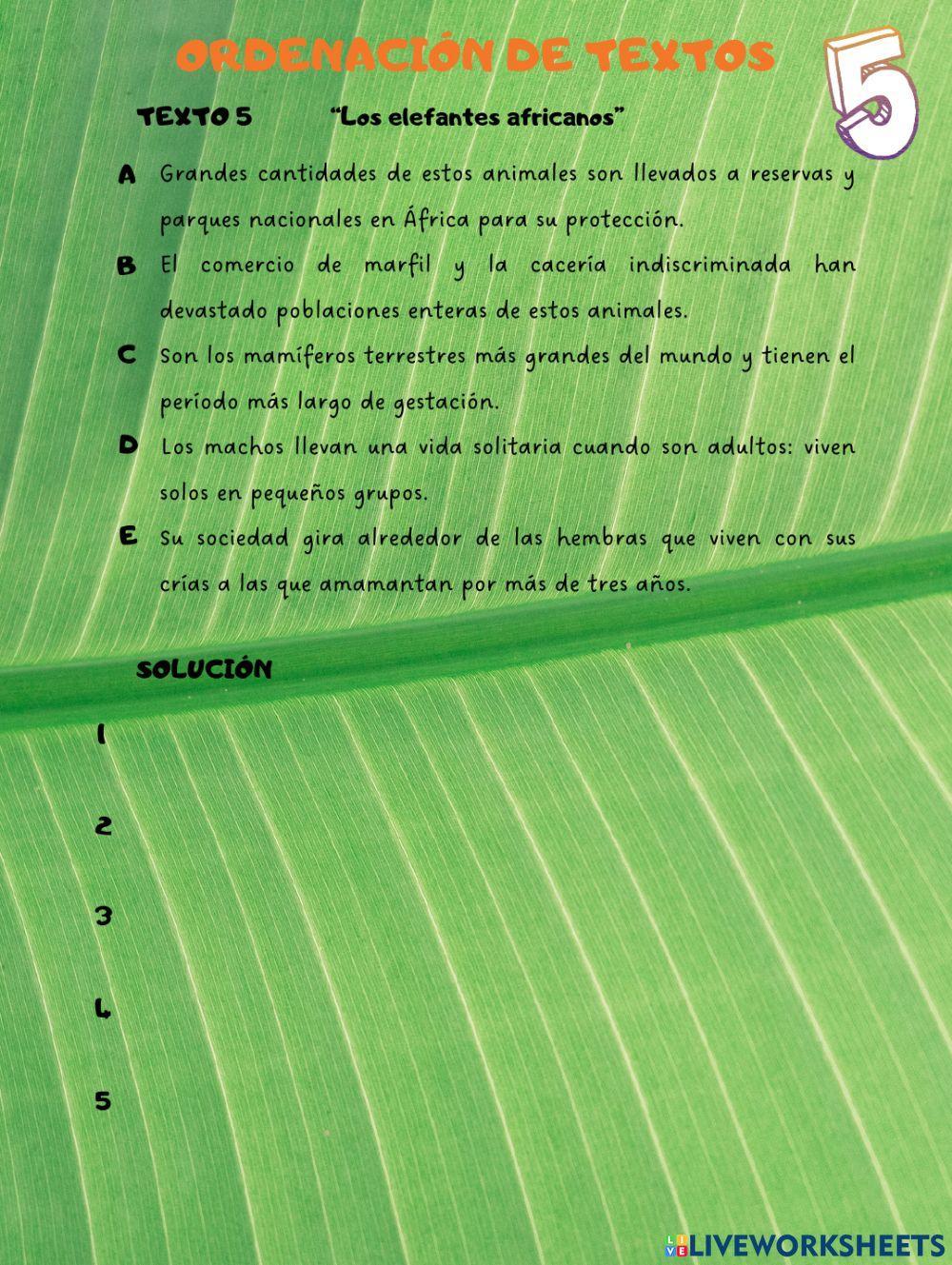 Ordenación de textos 5