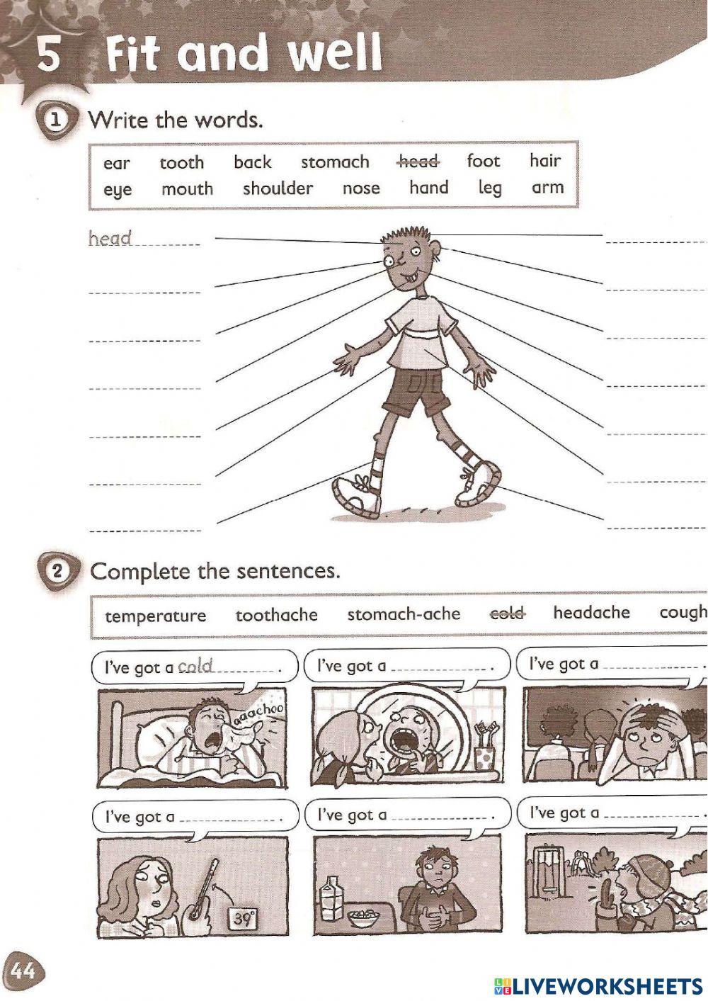 KB3 - U5 - Illnesses