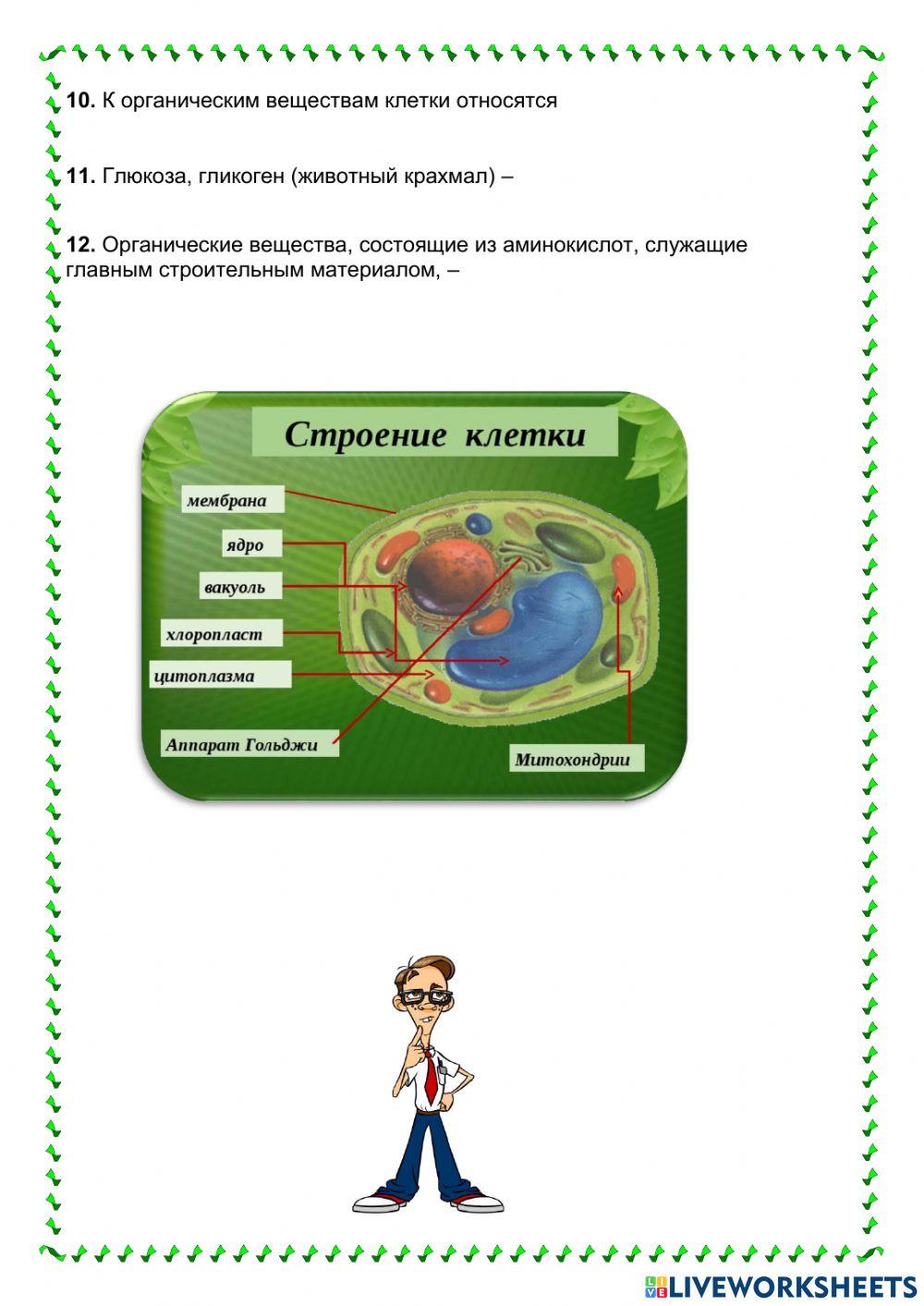 Строение клетки