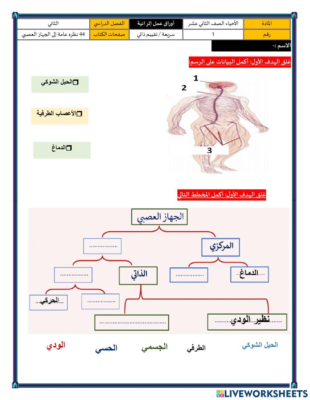 غلق الهدف الاول ص44 نظره الى الجهاز العصبي