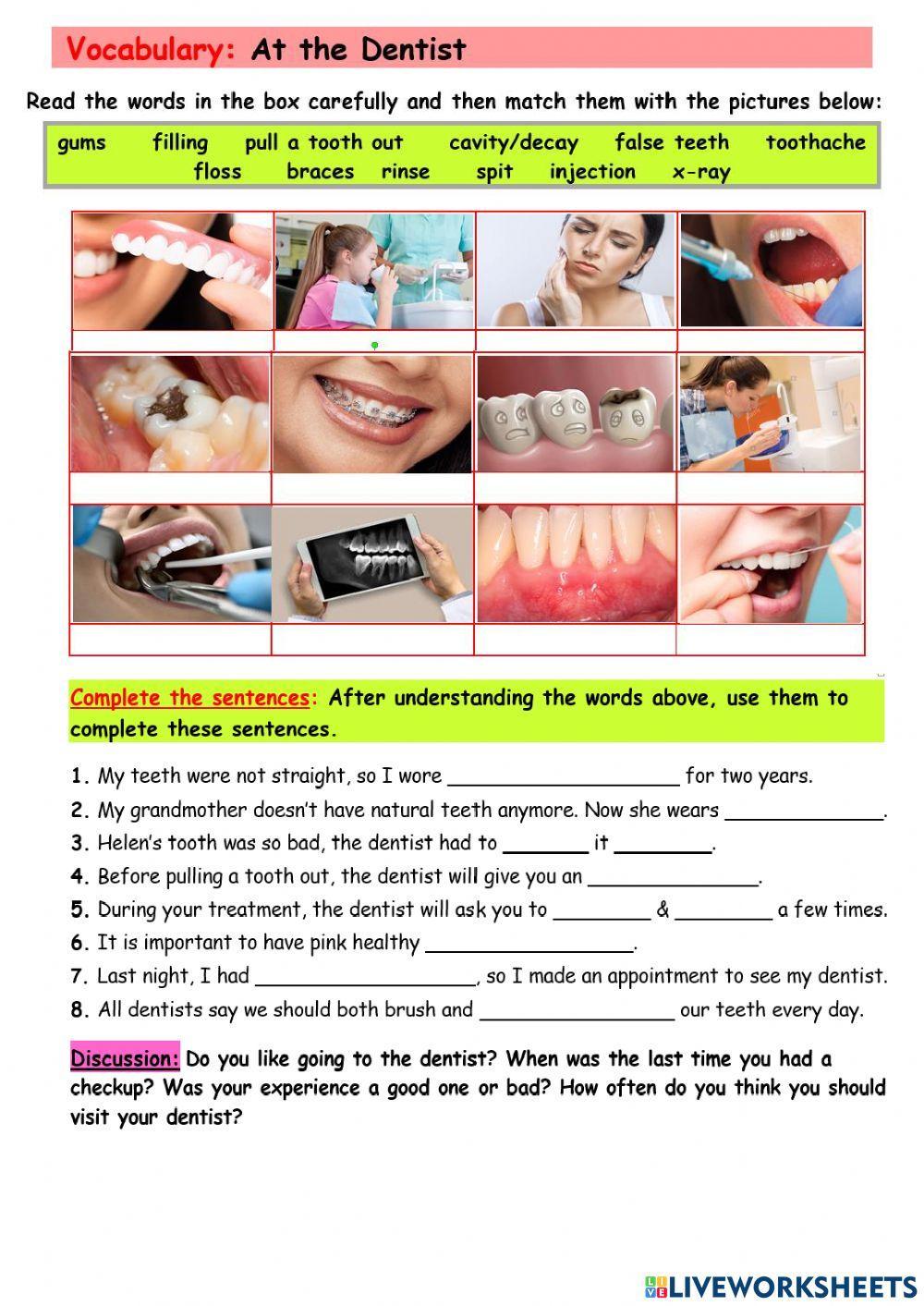 rc-eva-and-will-are-at-the-beach-reading-comprehension-exercises-140697