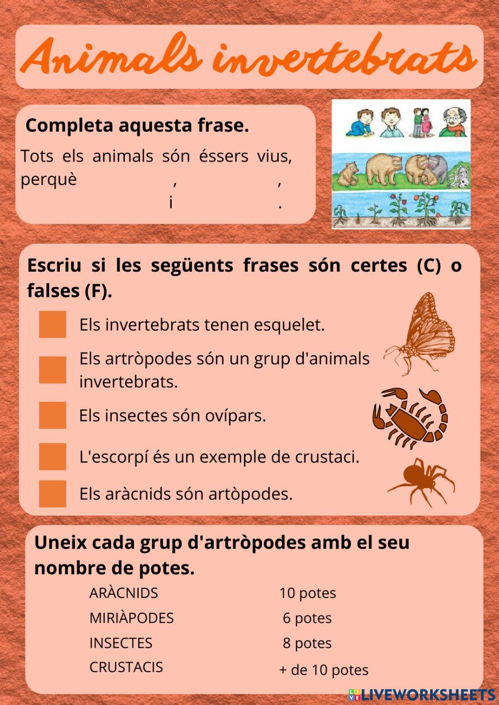 Animals invertebrats