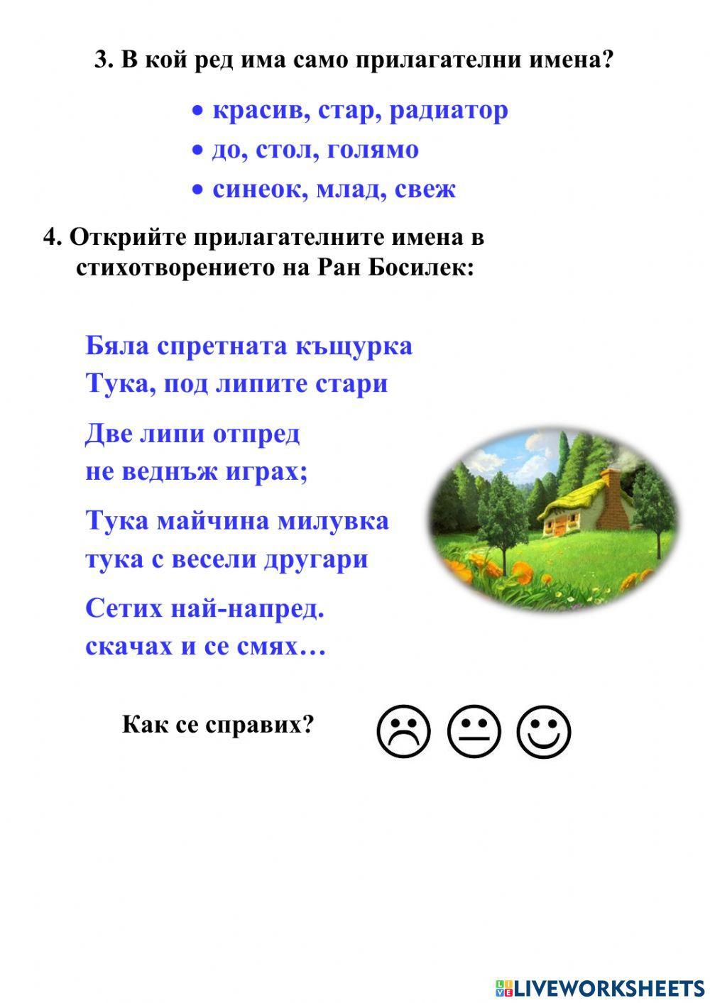 Прилагателни имена