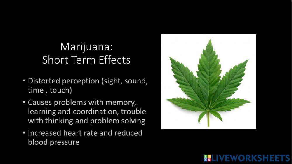 Effects of Illegal Drugs