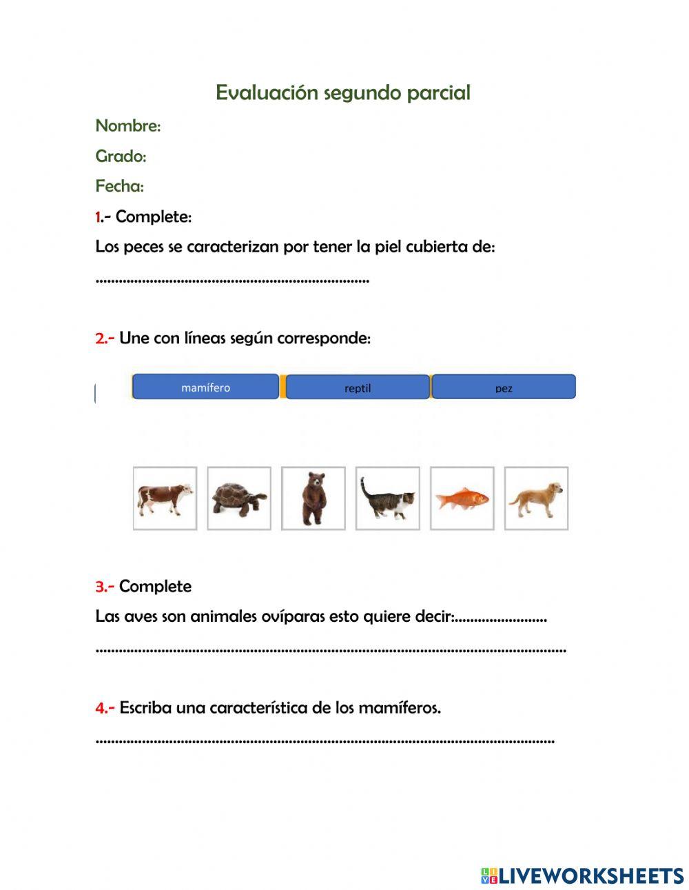 Evaluacion de natural 4