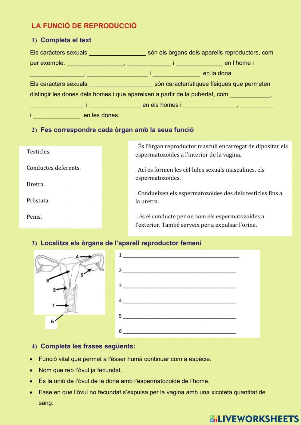 La funció de reproducció