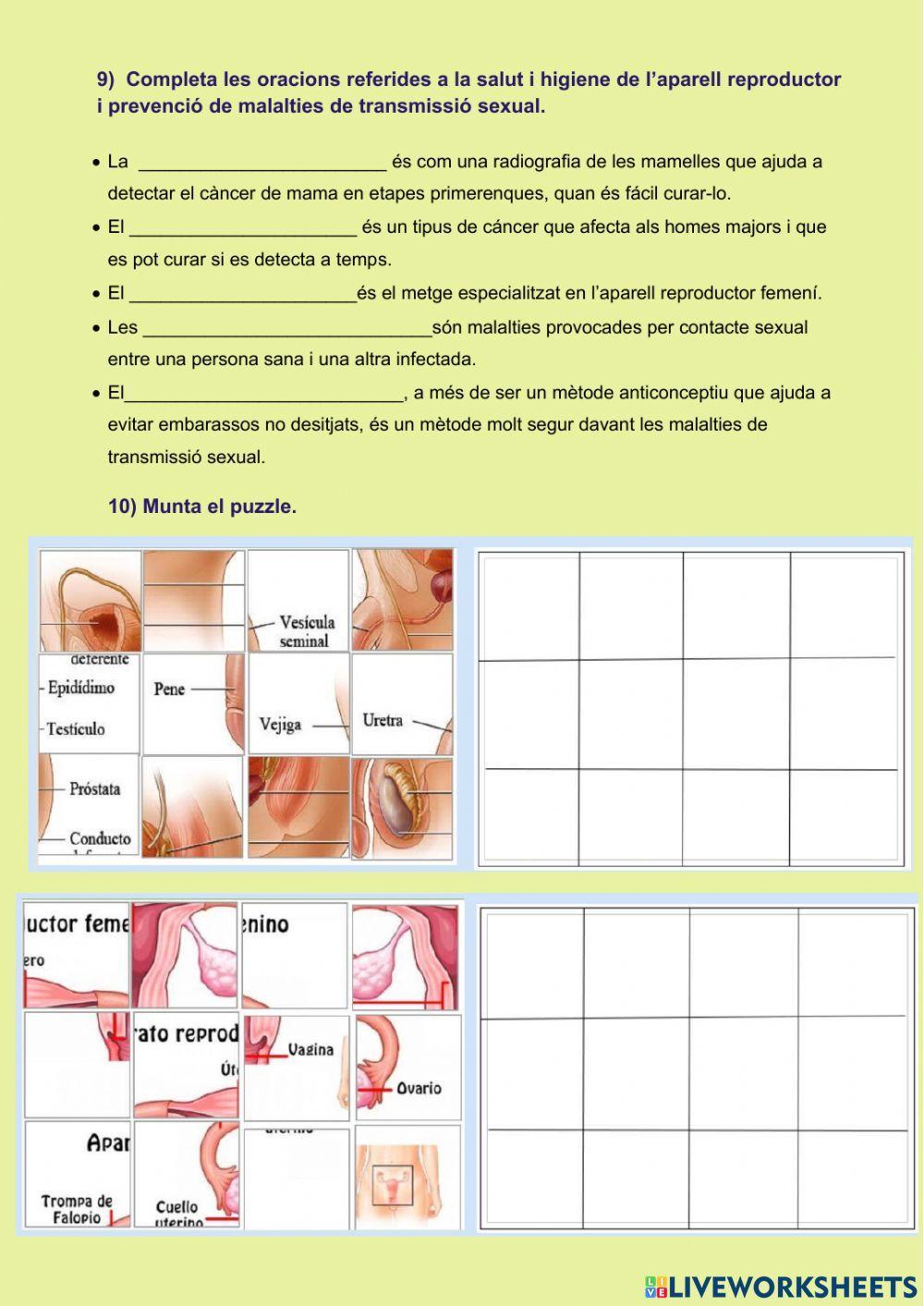 La funció de reproducció