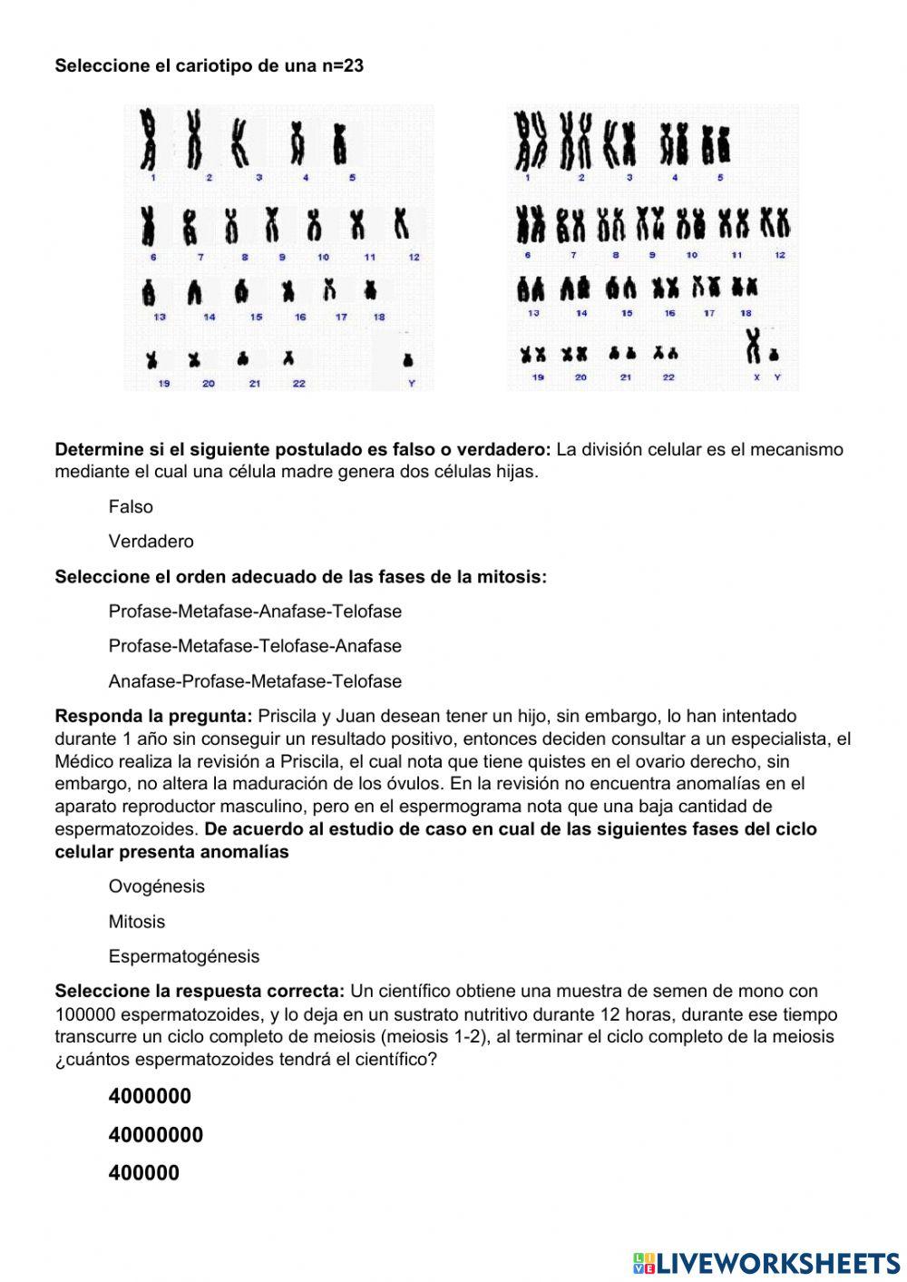 Recuperación de Ciencias Naturales