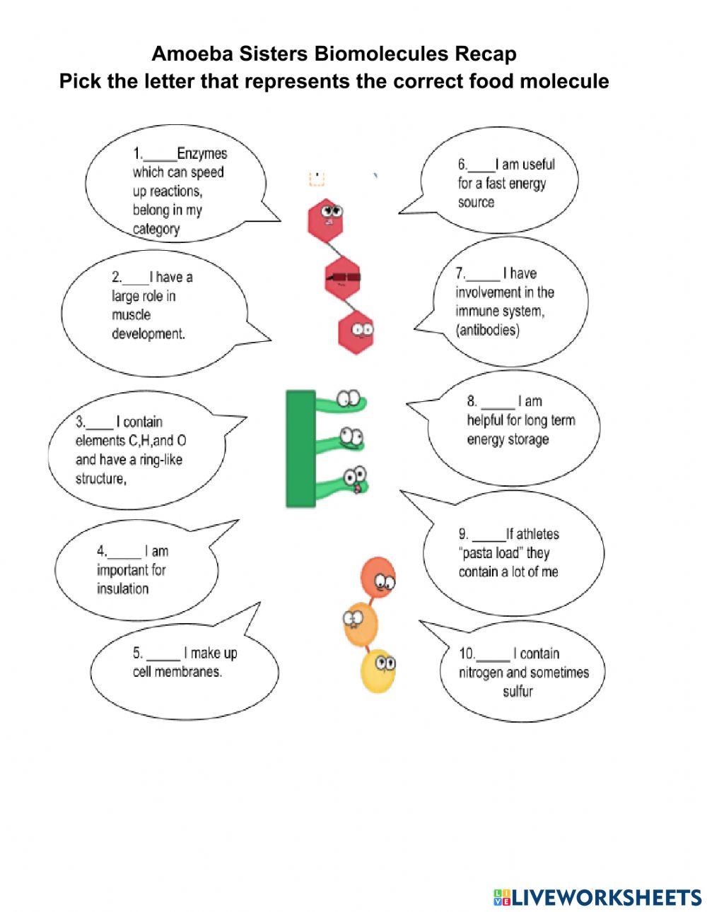 biomolecules-recap-worksheet-live-worksheets