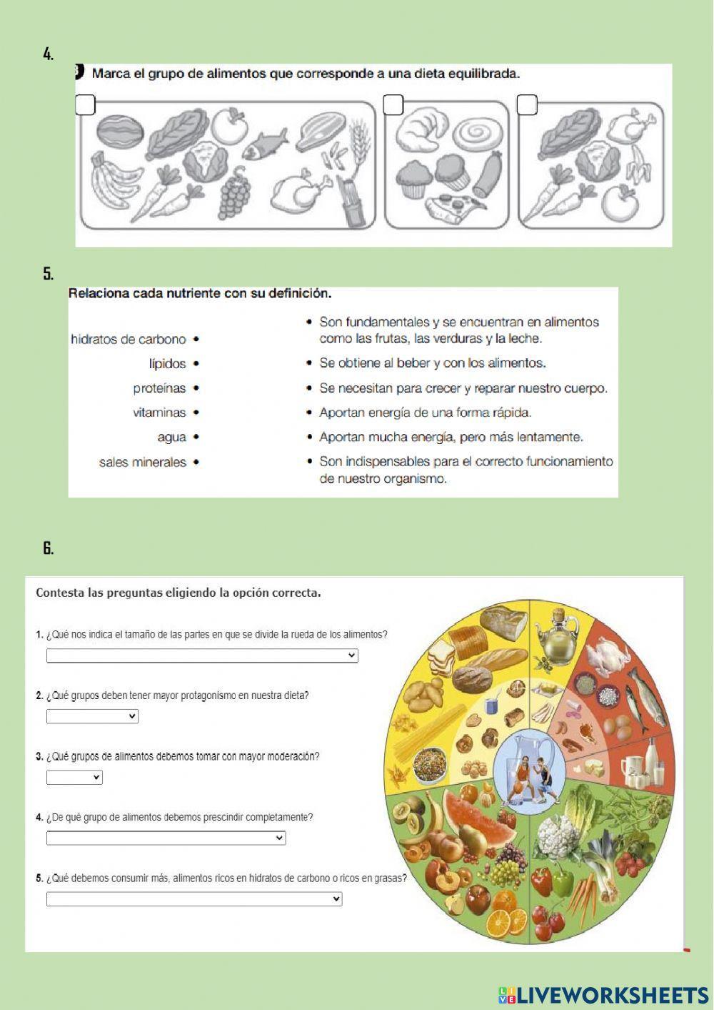 La nutrición 1. aparatos digestivo y respiratorio