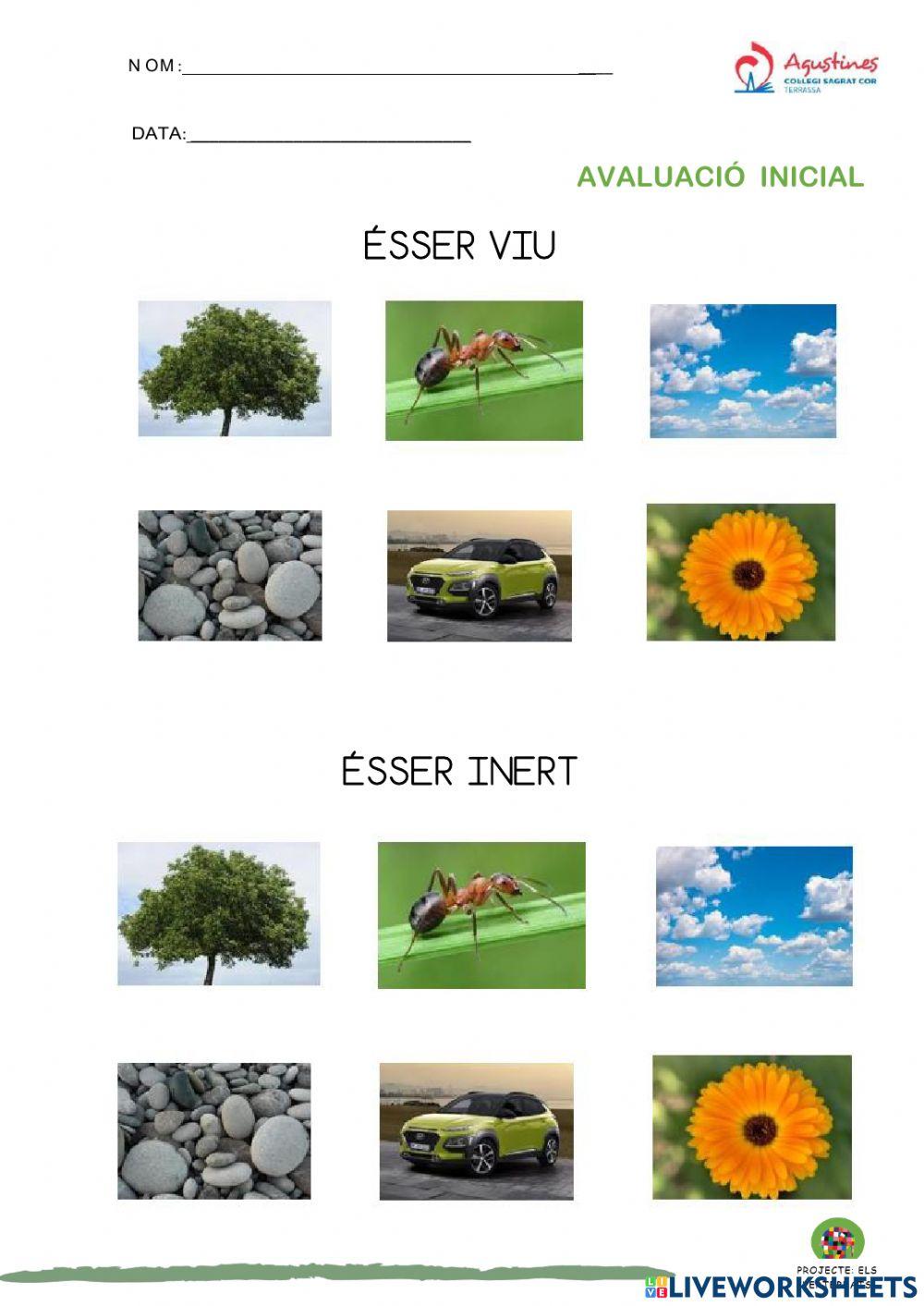 Éssers vius i éssers inerts