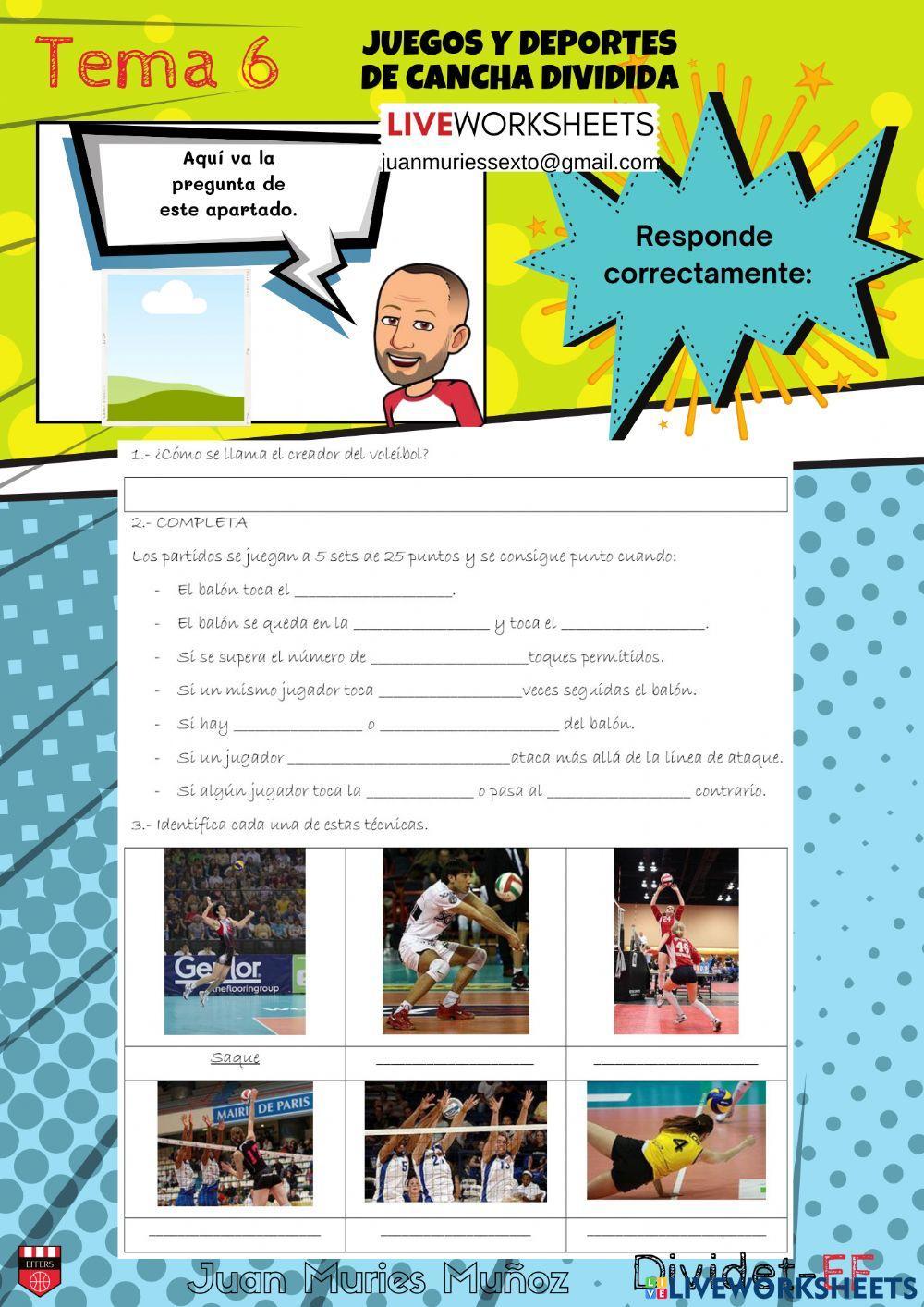 Reglas básicas voleibol