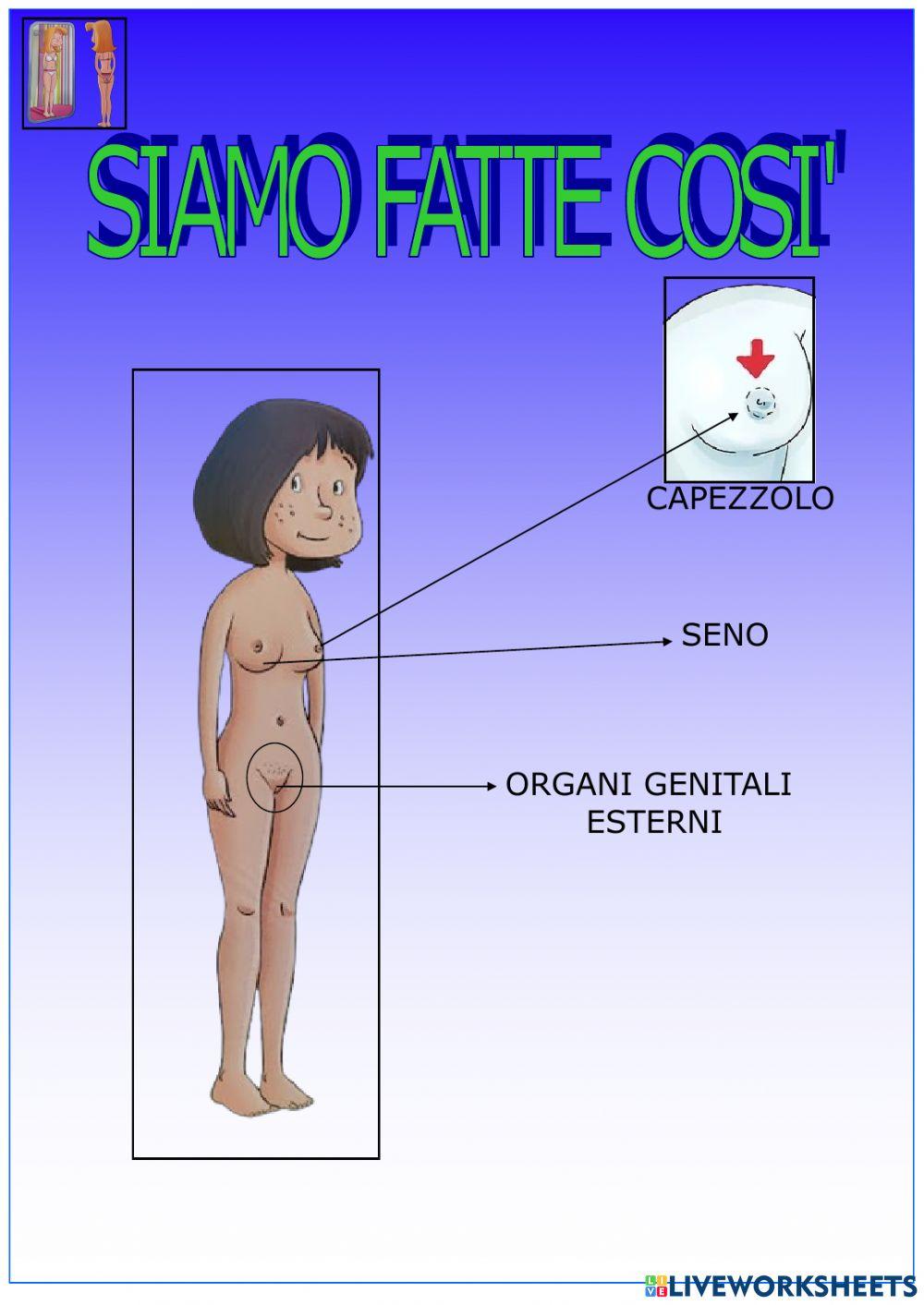 Tutti crescono femmine Tutti crescono femmine