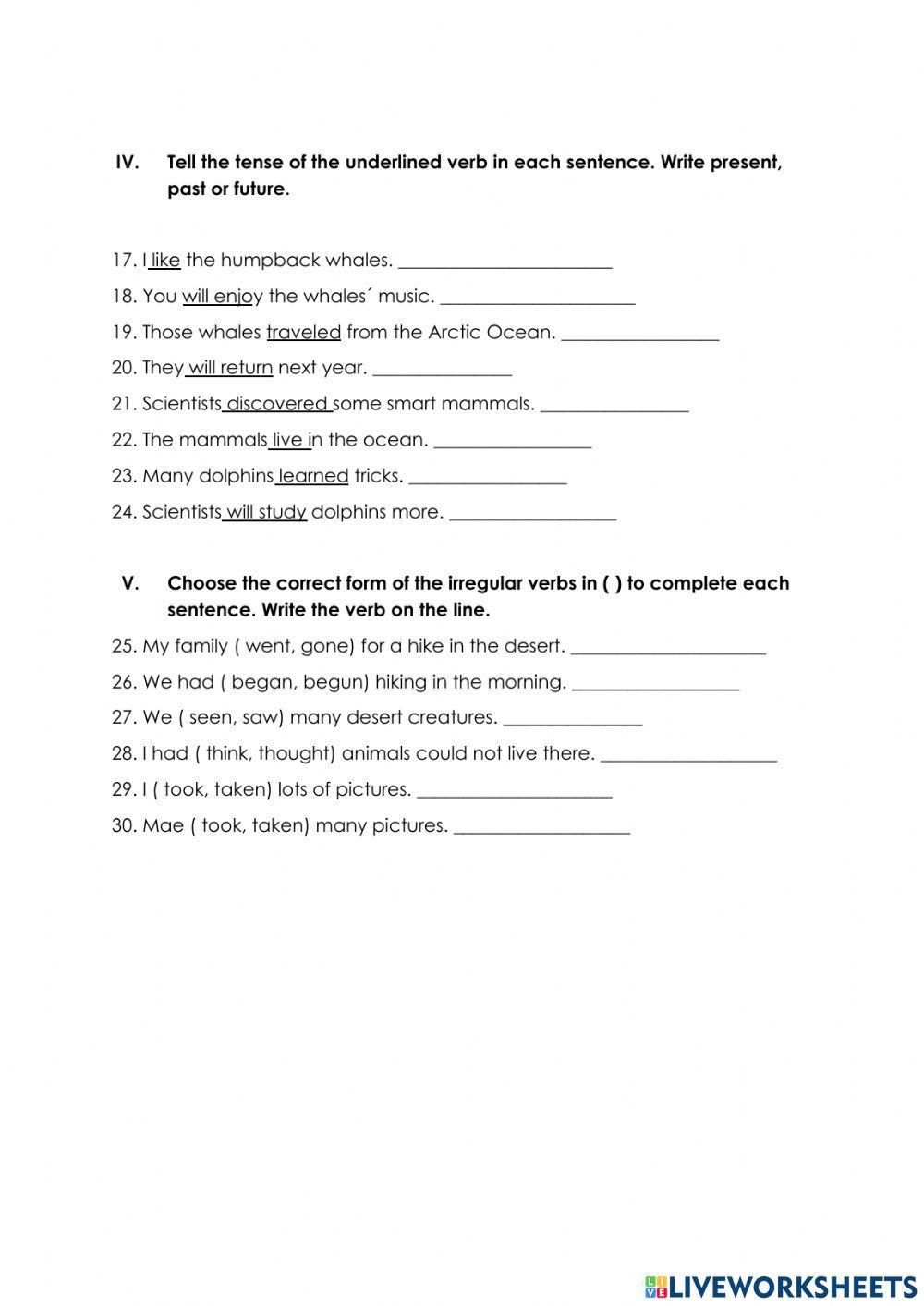 Jan Grammar 3rd 2022