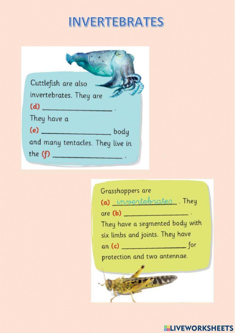 Invertebrates text