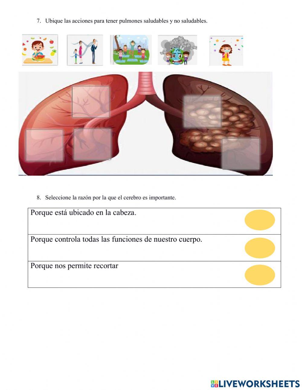 Prueba parcial CC.NN