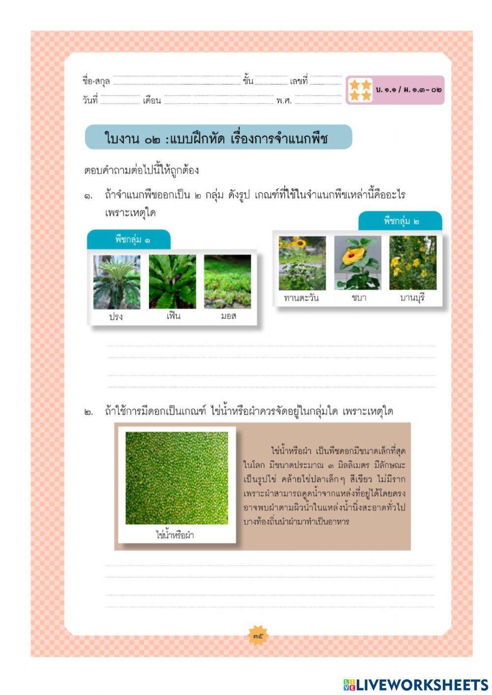 ใบงาน3การจำแนกพืช