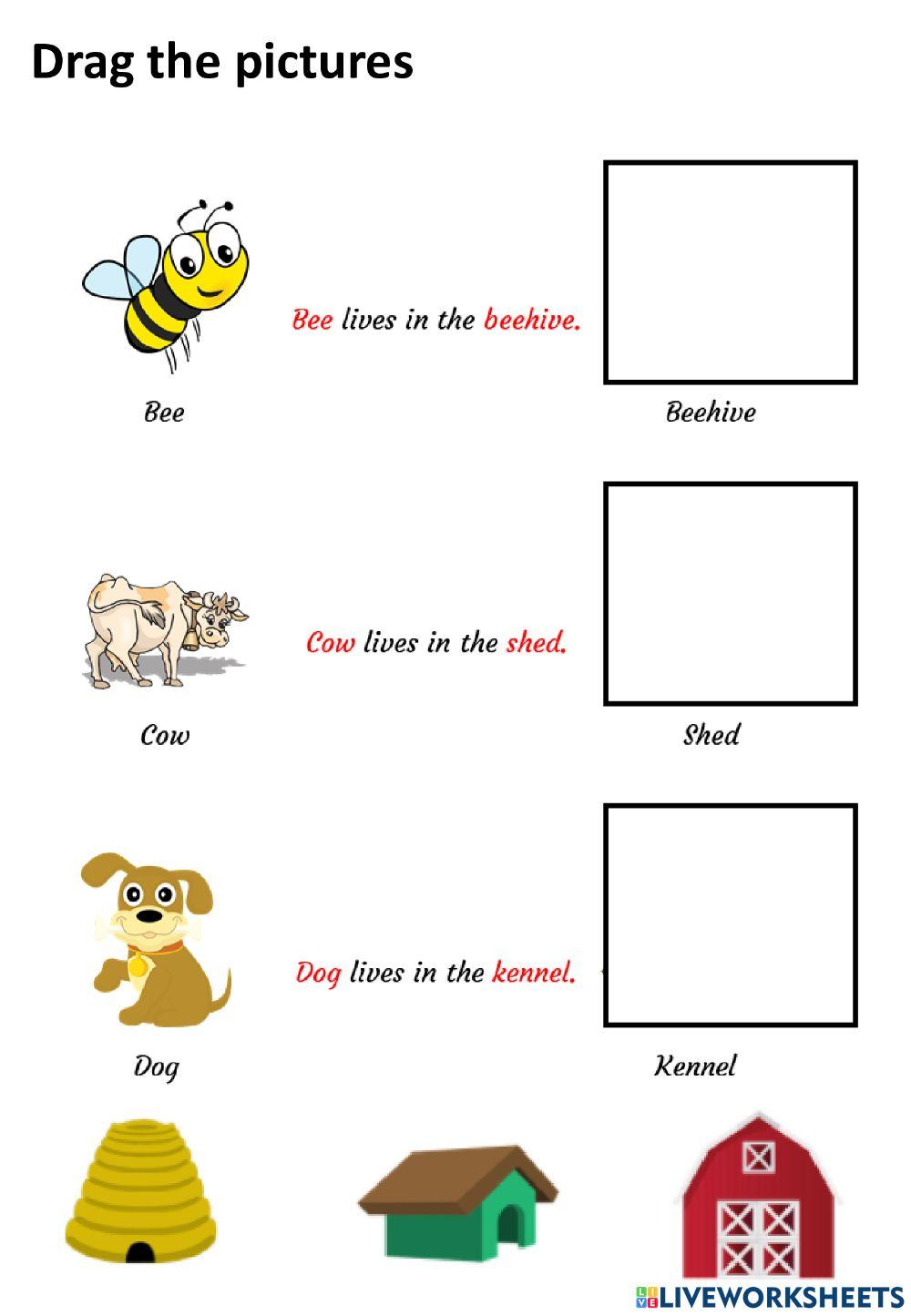 Animals and their house.