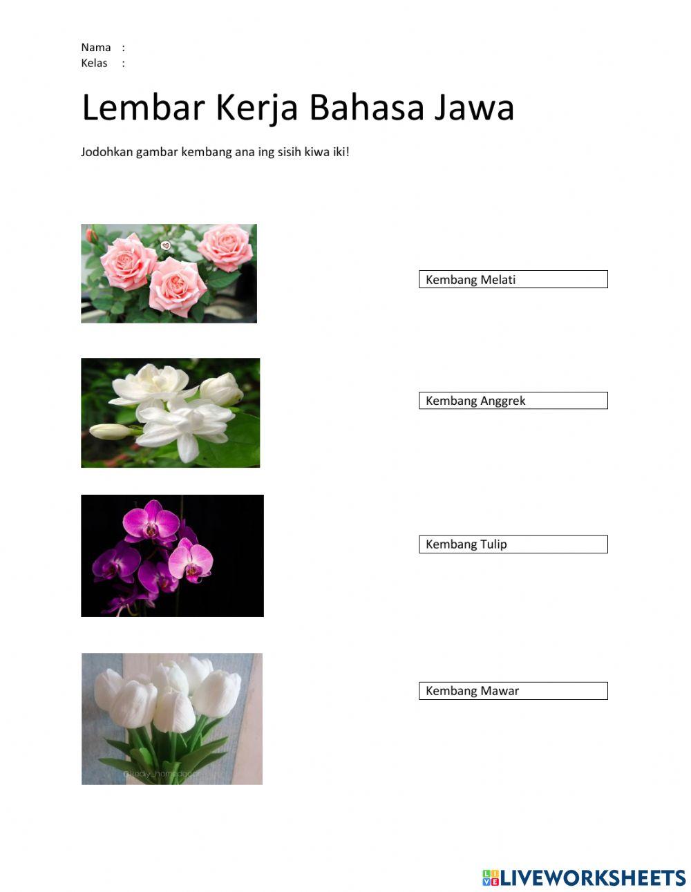 Lembar Kerja Bahasa Jawa
