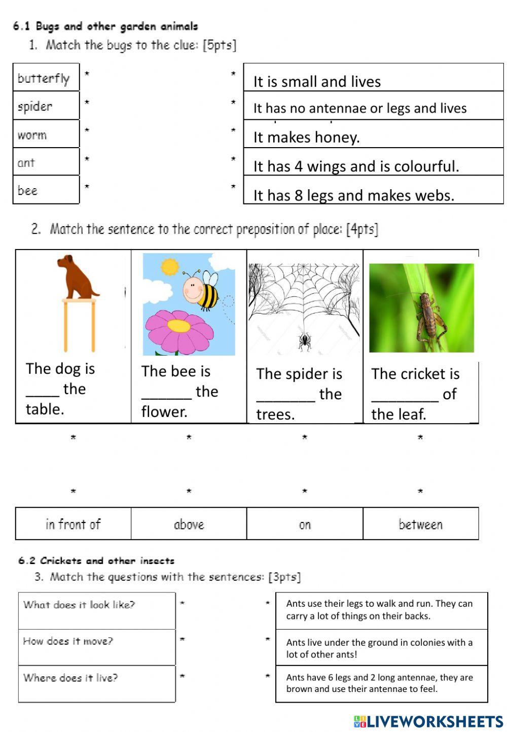 Practice Test ESL Unit 6