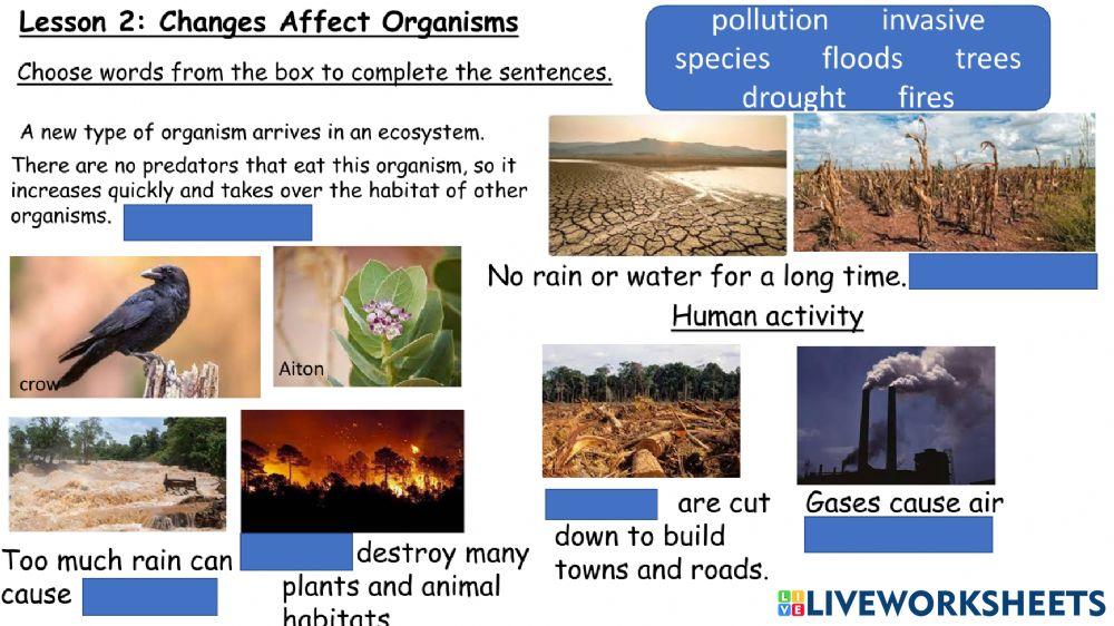 Lesson 2 Changes to the Environment