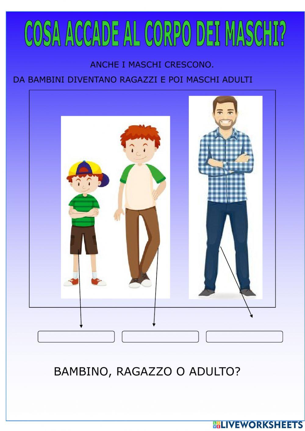 TuTTI CRESCONO MASCHI TuTTI CRESCONO MASCHI