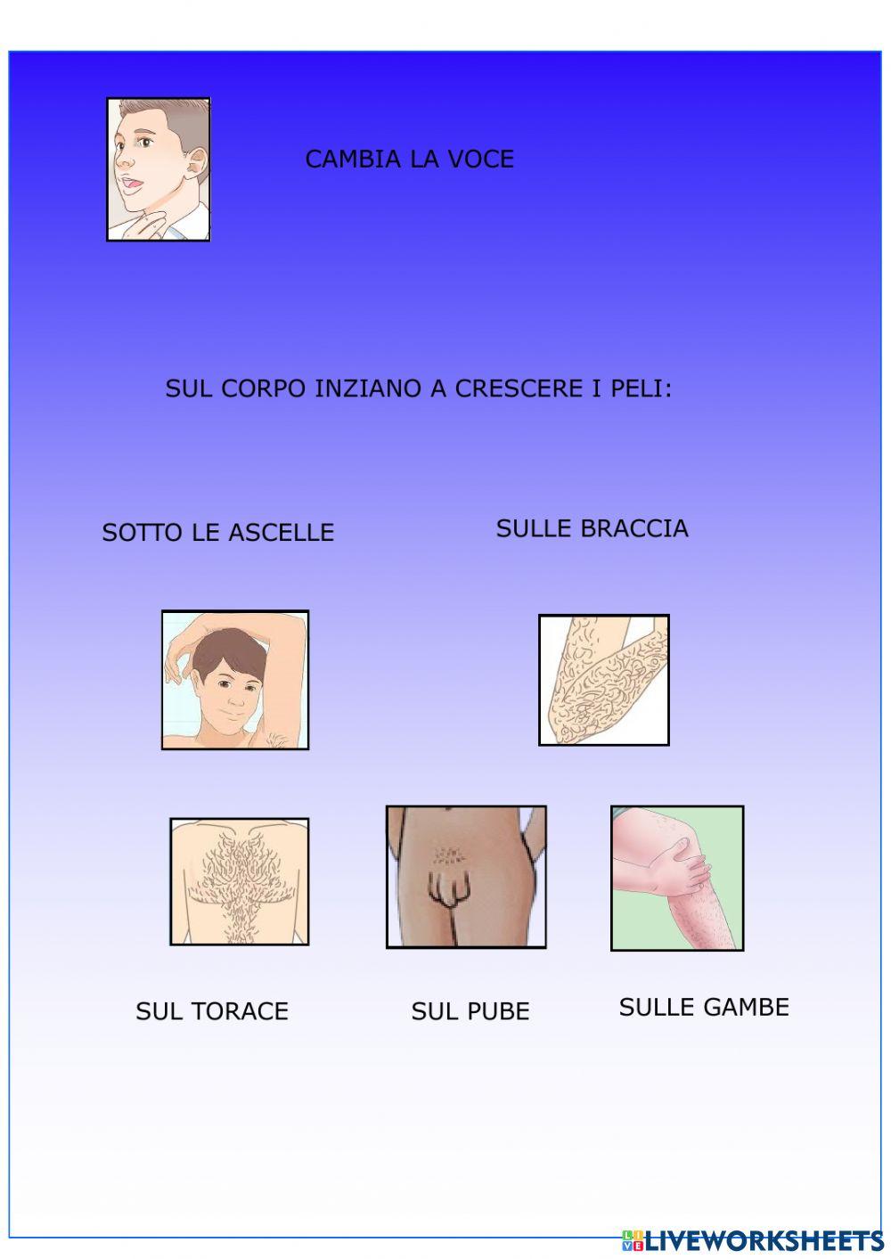 TuTTI CRESCONO MASCHI TuTTI CRESCONO MASCHI