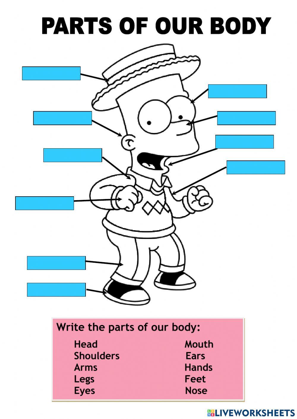 Parts of Our Body interactive activity | Live Worksheets