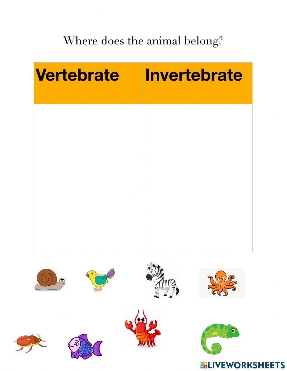 Vertebrates vs. Invertebrates