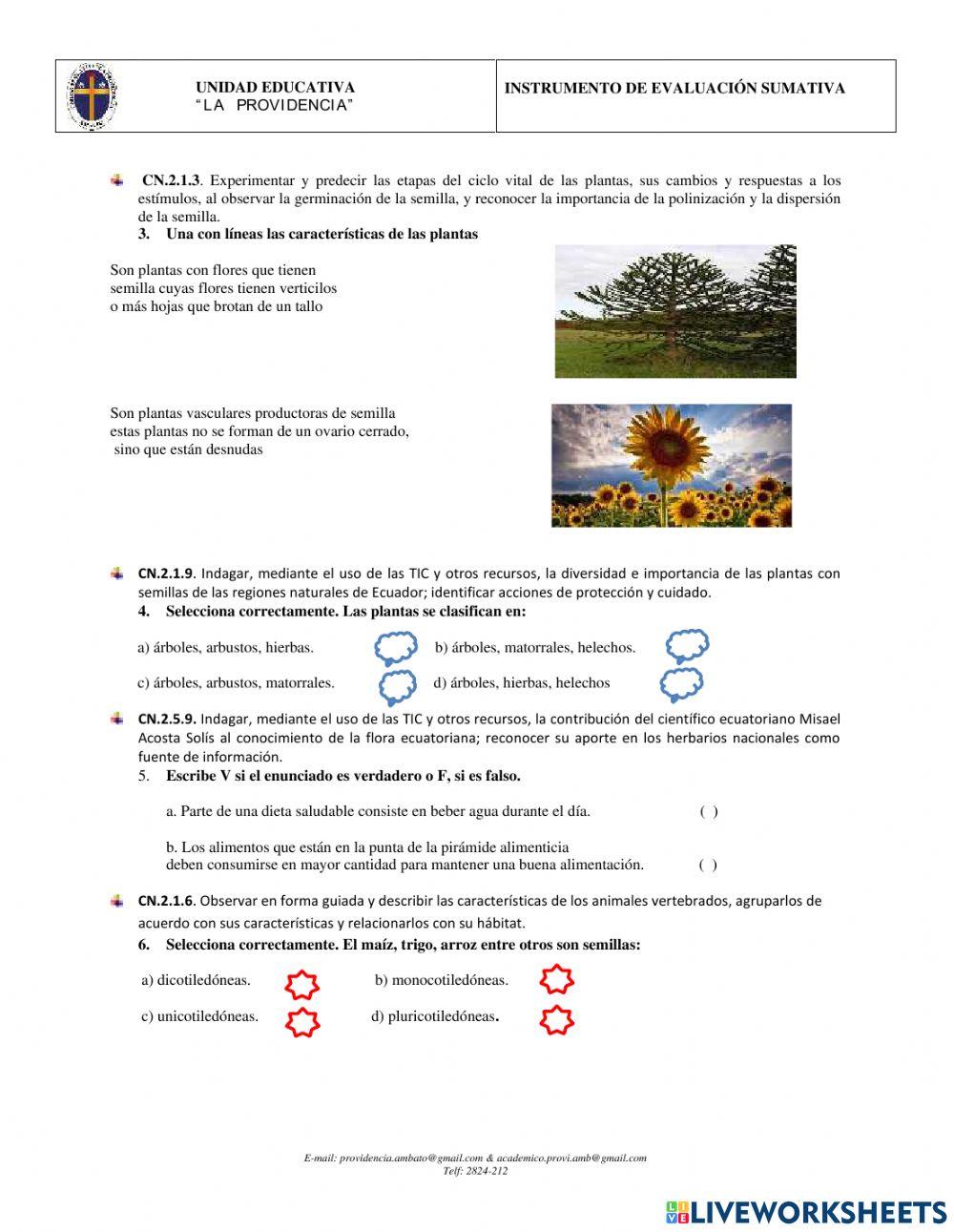 Ciencias naturales 4to año