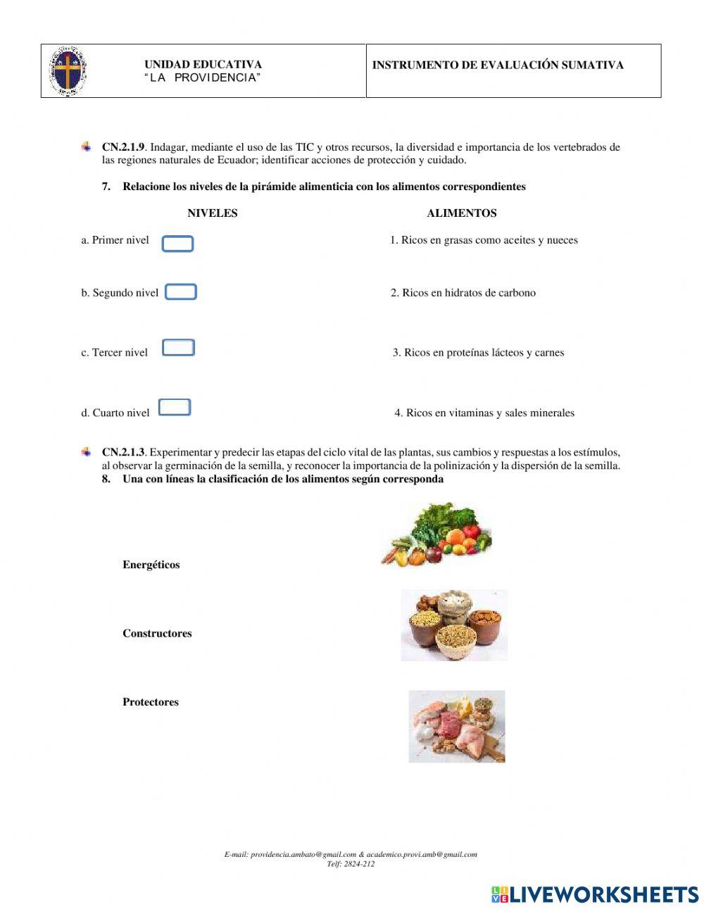 Ciencias naturales 4to año