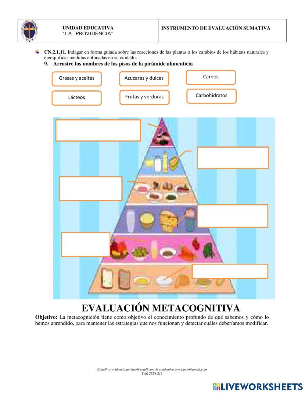Ciencias naturales 4to año