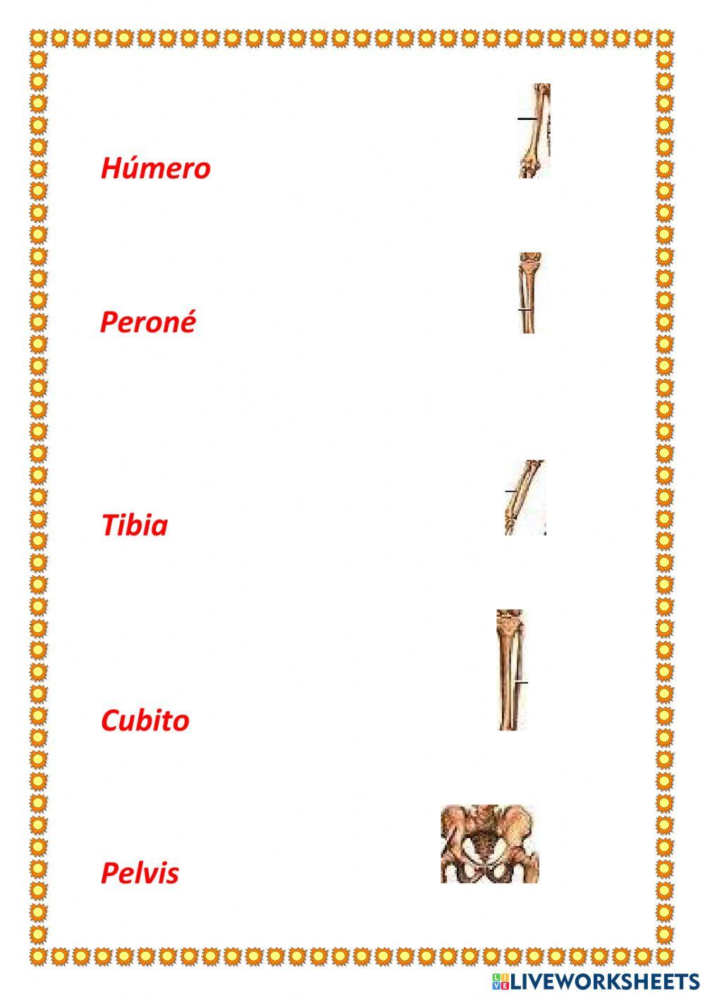 Prueba de Ciencias Naturales
