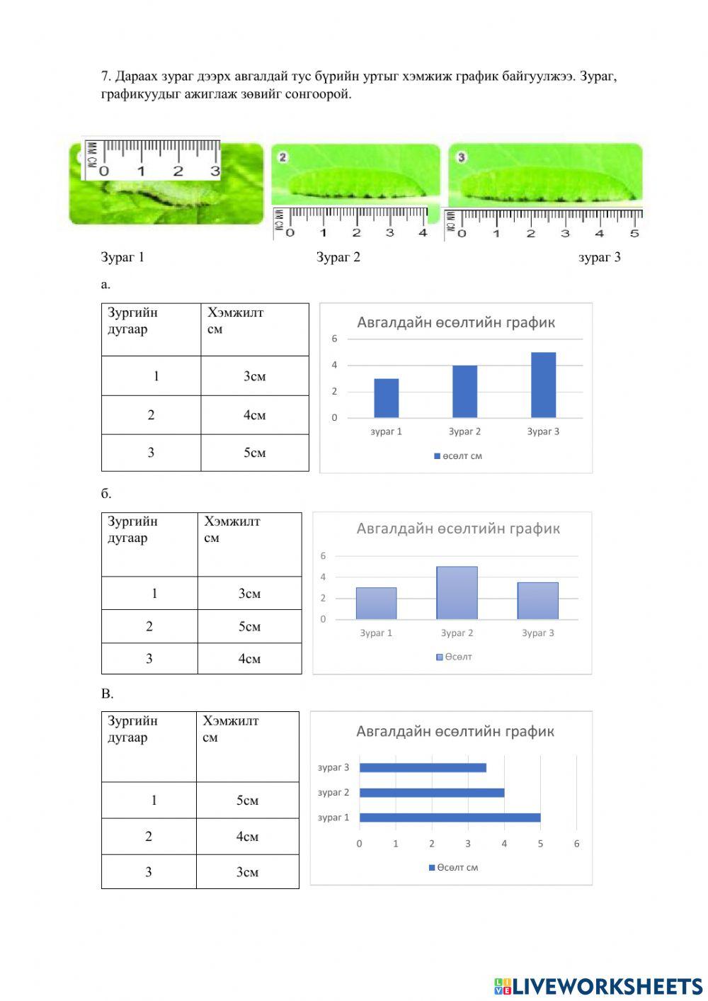 Хүн ба байгаль-5