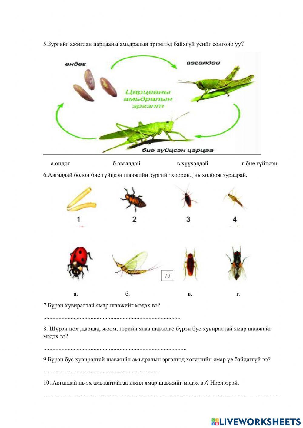 Ажлын хуудас