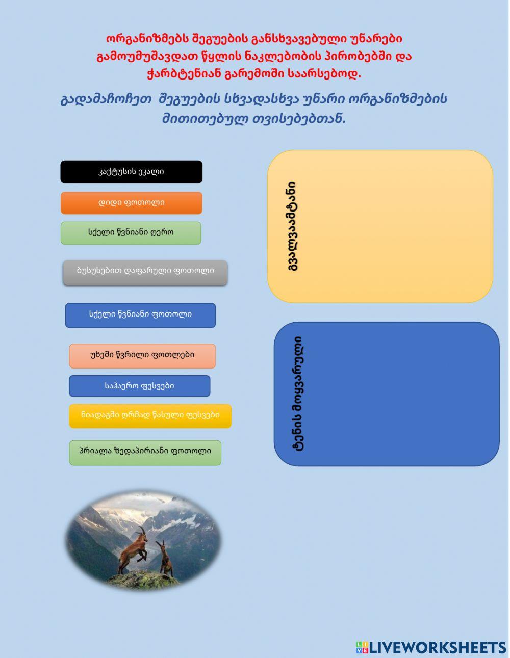 Ნიადაგი და წყალი - ეკოფაქტორებია